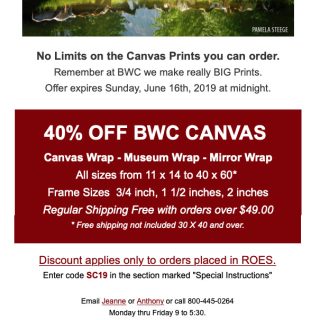 BWC Printmakers - Canvas Sale email