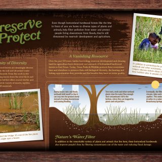 Palmetto State Park - Preservation interpretive